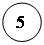 ����: 5