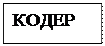 �������: �����