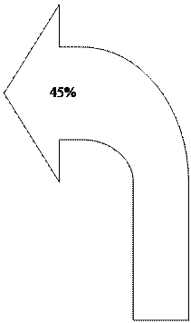������� �����:    45%
