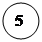 ����: 5