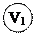 ����: V1