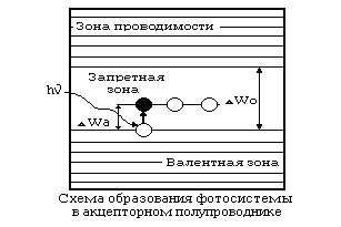 [����������� �������������]