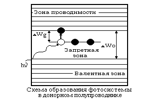 [�������� �������������]