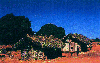 Sakalava-�.gif (6397 bytes)
